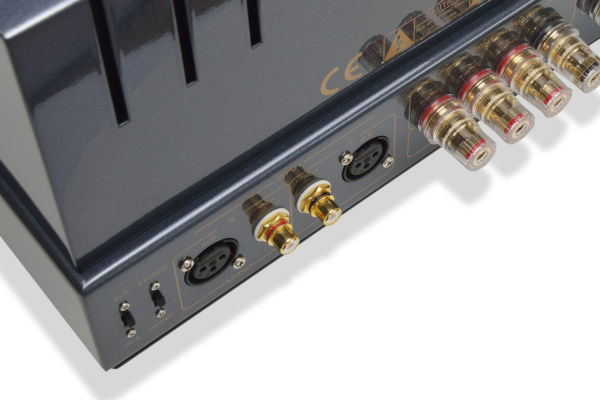 Primaluna EVO 300 Power - Image 14