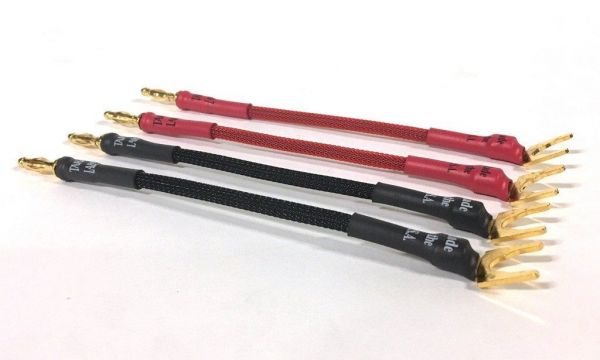 Taralabs Apollo Speaker Link