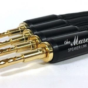 Taralabs The Muse Speaker Link