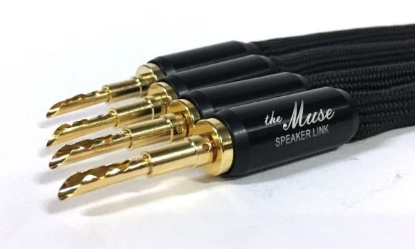 Taralabs The Muse Speaker Link