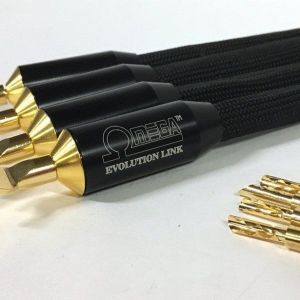 Taralabs Omega Evolution Speaker Link