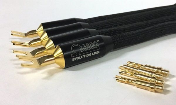 Taralabs Omega Evolution Speaker Link