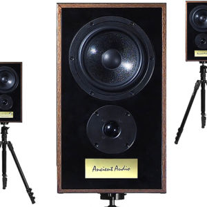 Ancient Audio Vintage Horten