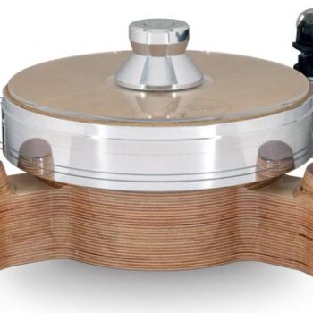 Acoustic Solid Classic Wood Round MPX